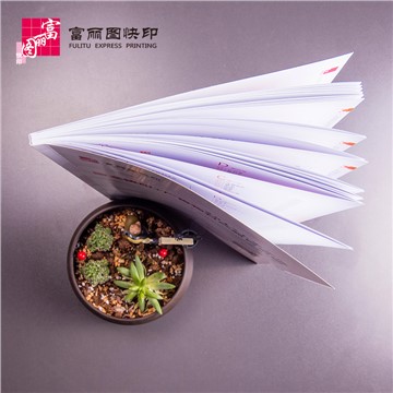 富丽图快印广告物料产品目录册电子版